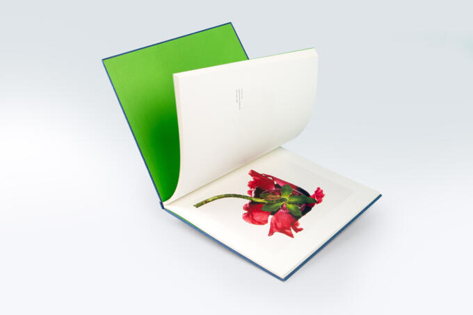 Druck im Feinraster 130