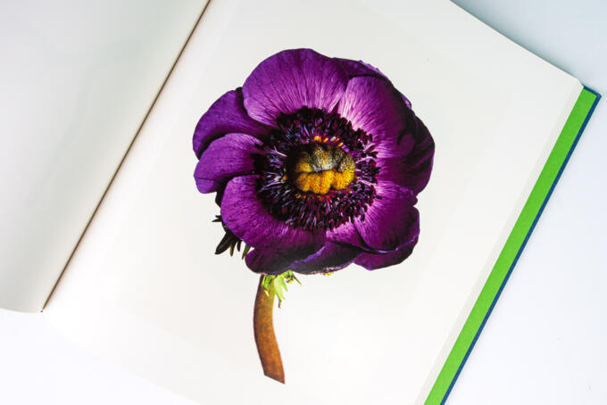 Drucktechnik Feinraster mit Lack