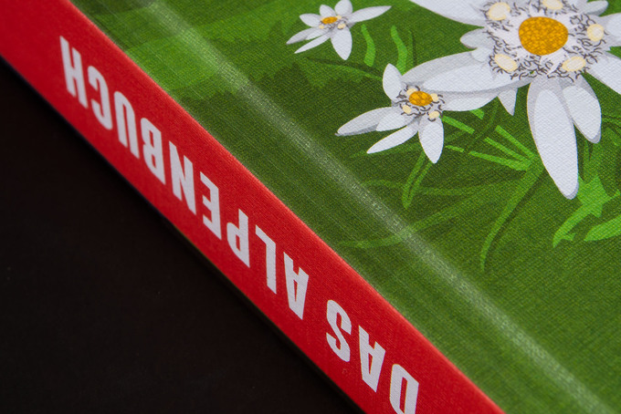 Detailansicht F-Color Leinen