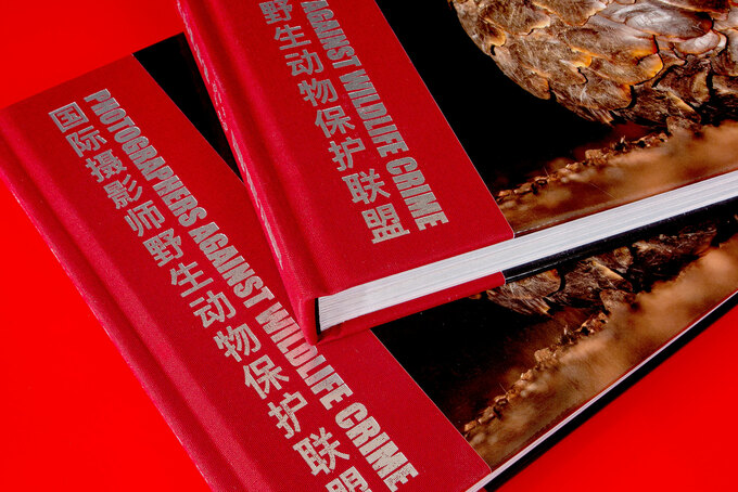 Halbleinenbezug eines Buches mi filigraner Heißfolienprägung