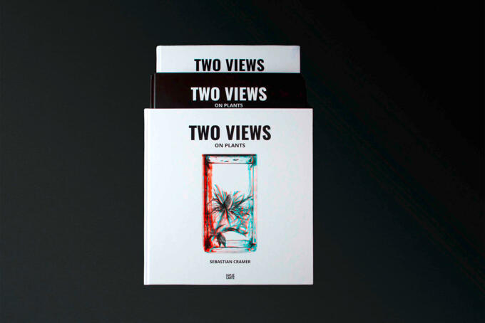 3D Bild von einem Buch rot und blau