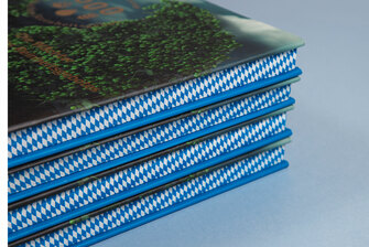 Farbschnitt an einem Buch