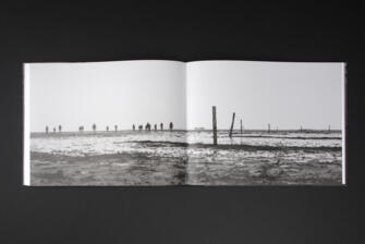 Bildband Duplex Triplex